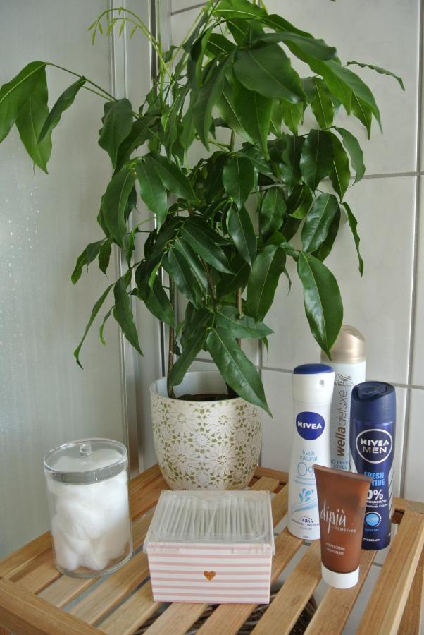 Rheinau Apartment Dış mekan fotoğraf